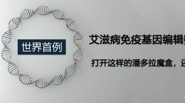 基因编辑1.jpg